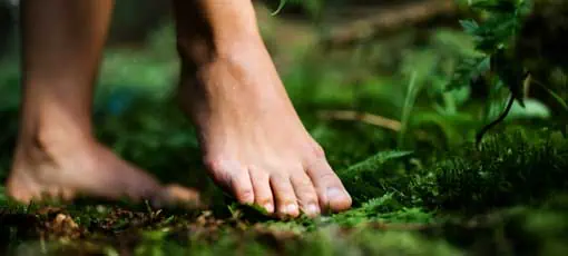 Waldbaden - Achtsamkeitsübungen in der Natur | Seltene Füße von Frau barfuß draußen in der Natur stehen, Erdung Konzept.